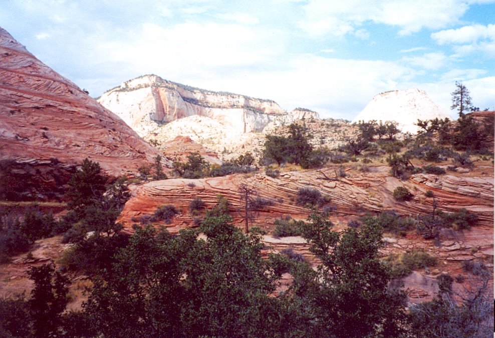 East Side of Zion NP by Michael Newman