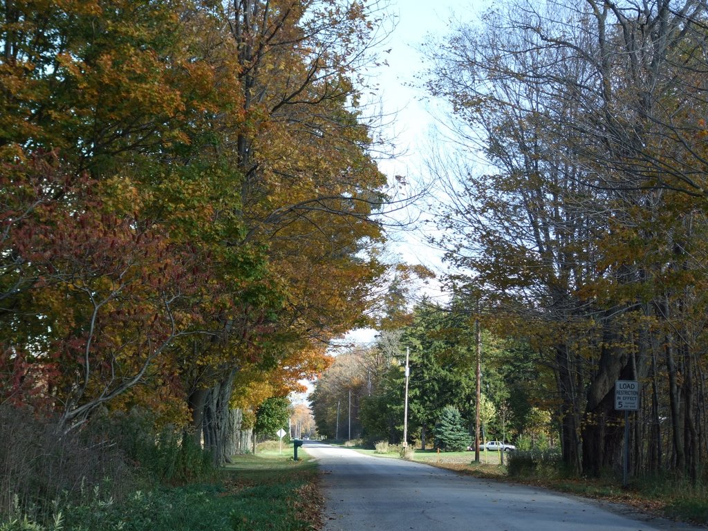 Southwold, ON, Canada by marwan samman