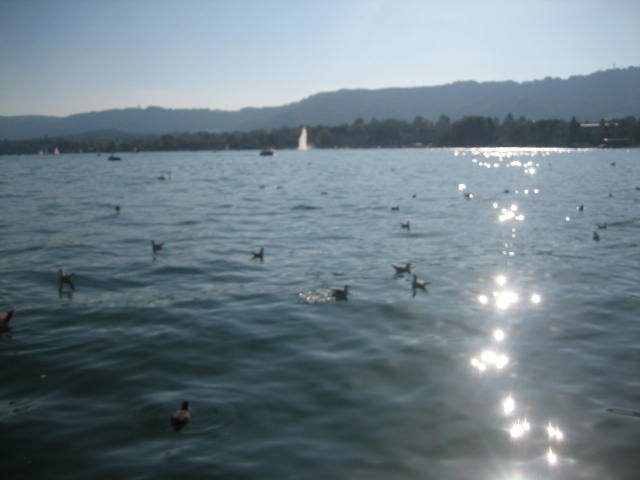 Lake Zurich by PrishtinaCity