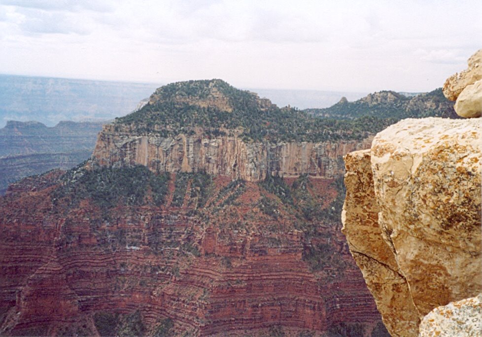 The Grand Canyon from the North Rim by Michael Newman