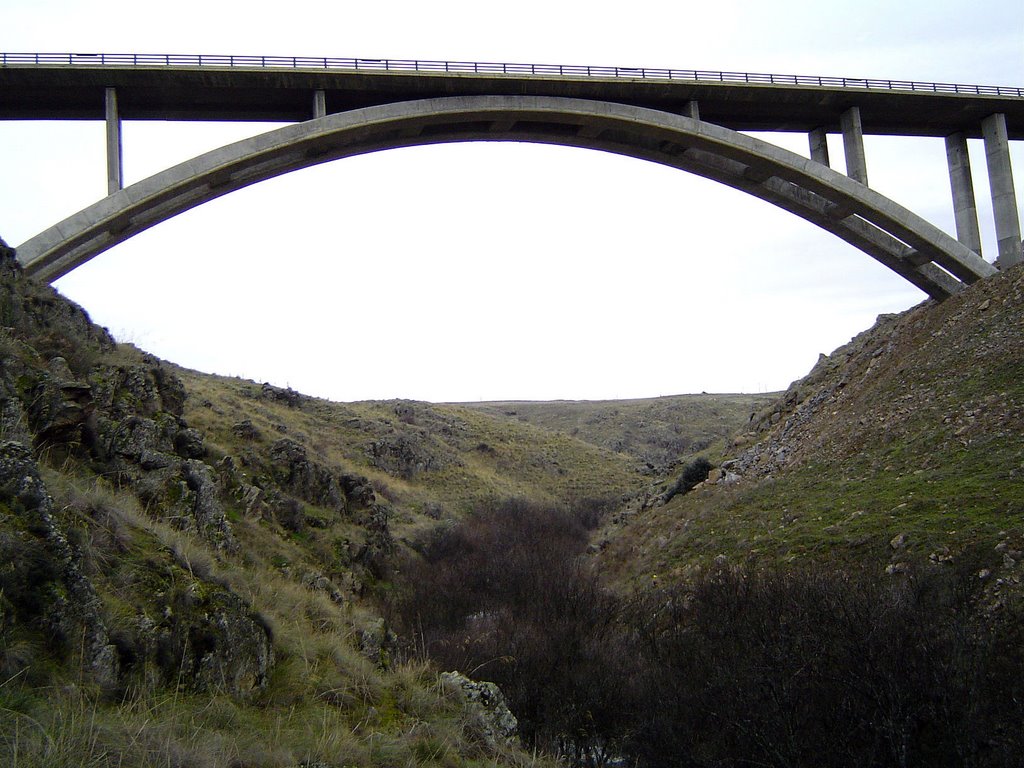 DESDE ABAJO DEL VIADUCTO DE LA SG-20 by Siro Otero García