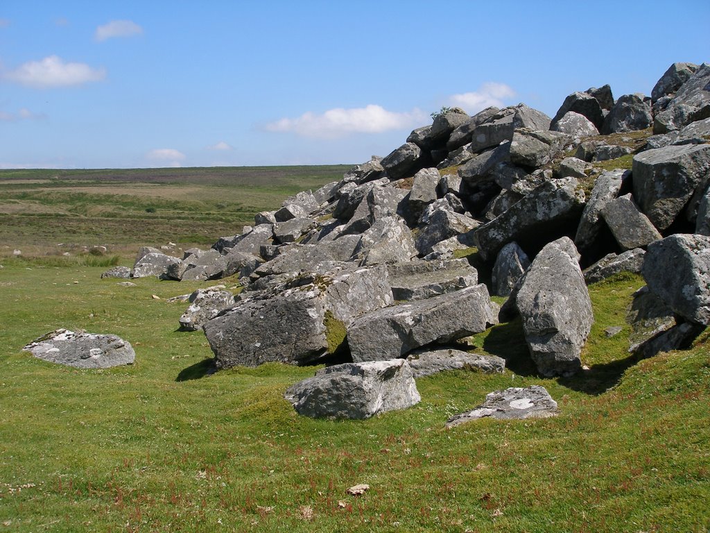 Haytor quarry spoil tip by wendyemlyn