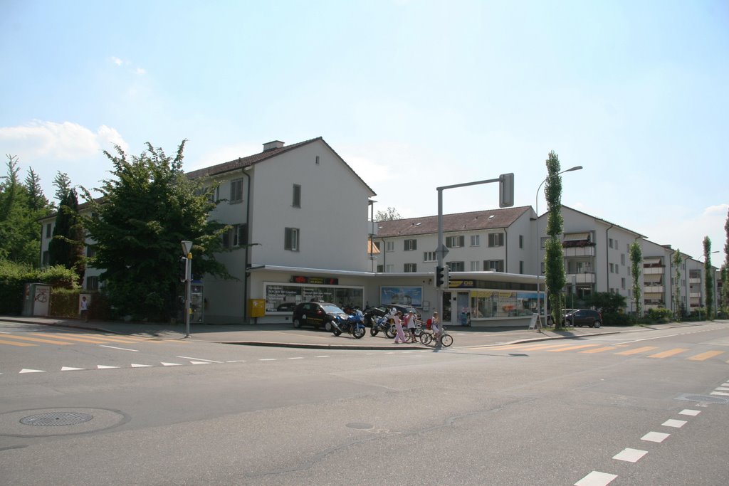 Kreuzung Wallisellerstrasse Saatlenstrasse by vodua