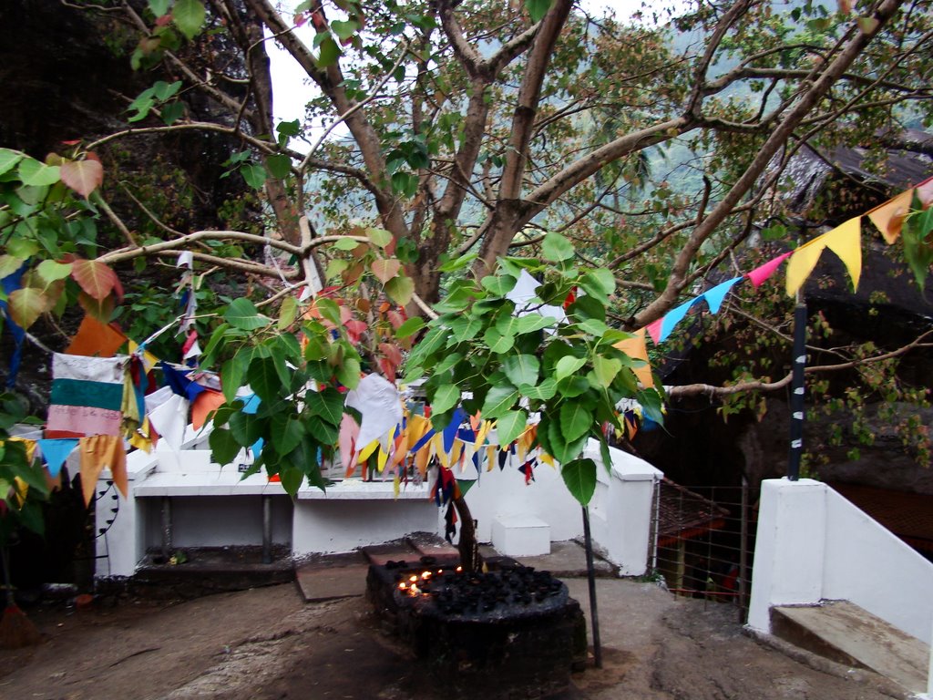 "Bo Tree" at Aluviharaya Temple by Geshan Weerasinghe