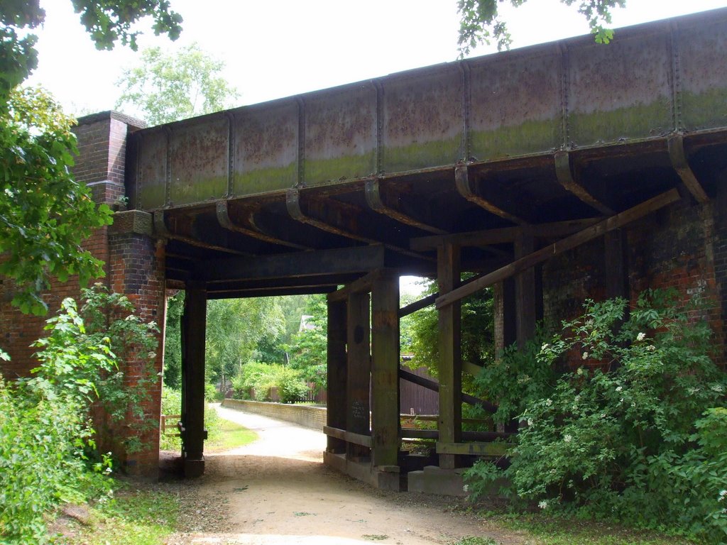 The bridge at Whitegates station by muba