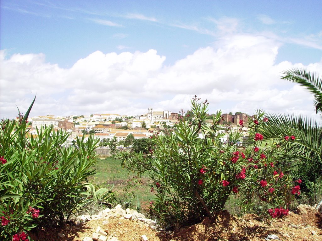 View of Silves from the road by Mortyzia