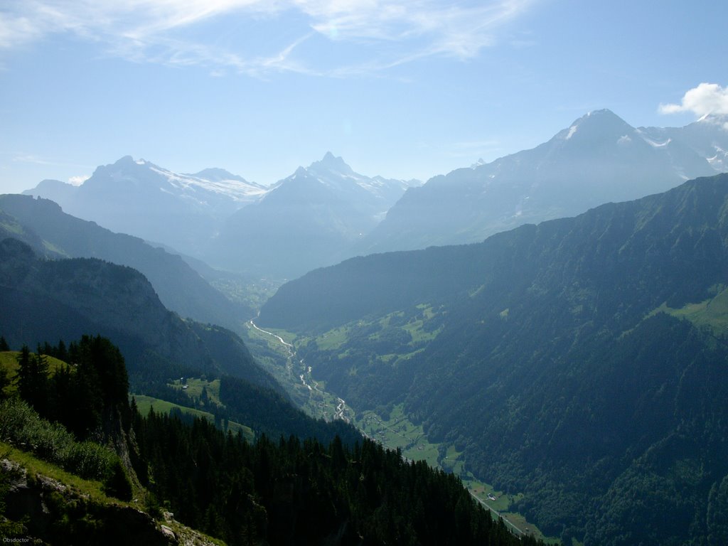 SCHYNIGE PLATTE by Obsdoctor