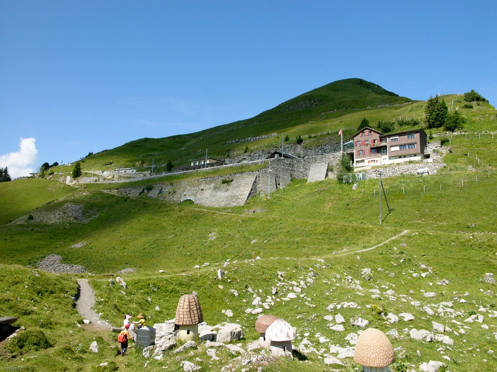 SCHYNIGE PLATTE by Obsdoctor