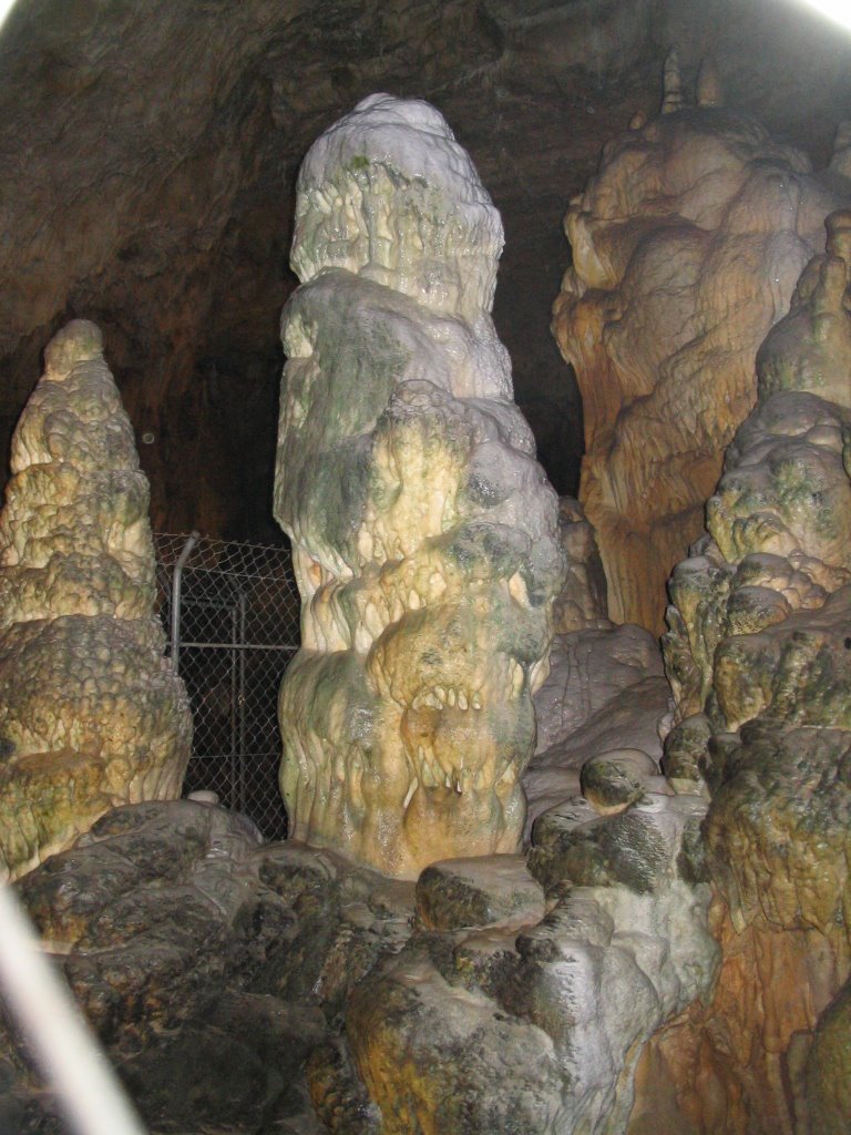 Stalagmiten in der Nebelhöhle (Sonnenbühl) by GEIGER.zähler