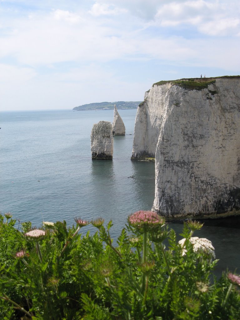 Harry's rock by macbusser