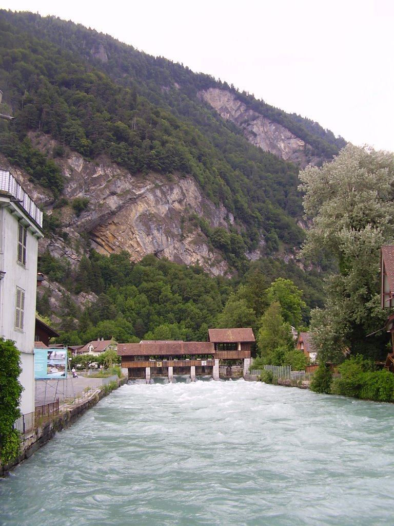 Unterseen, Switzerland by Vígh Tamás