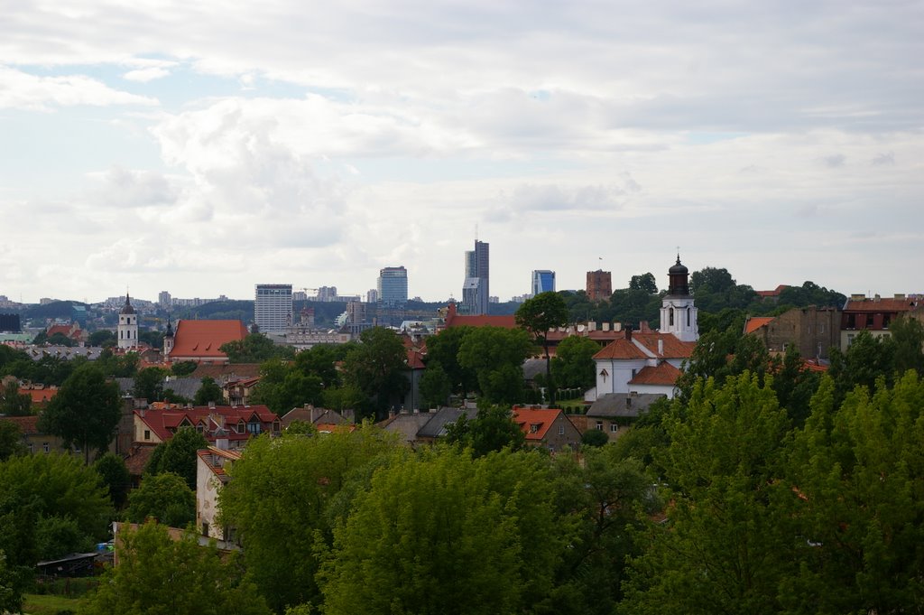 Vilnius panorama_2 by TomasM