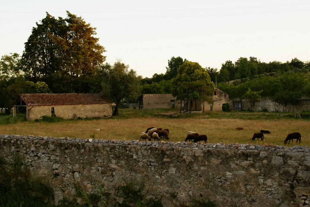 Paisagem by nrrsousa