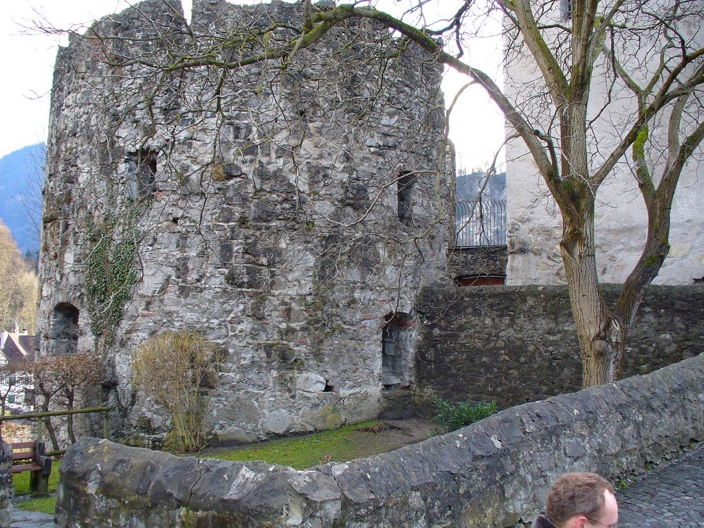 Feldkirch_castle by willgps