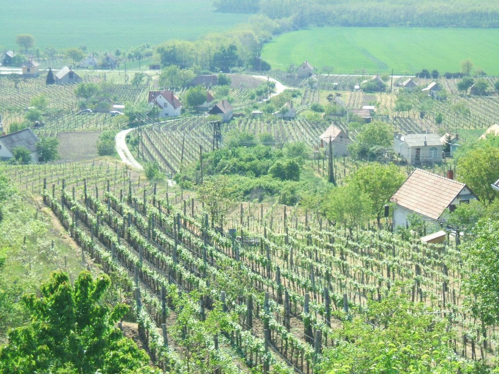 Somló, 28.April,2007 by PanoramioHungary