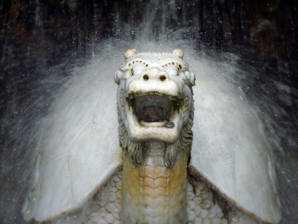 Shenzhen - Fairy Lake Park - Stone Turtle under waterfall by snotarbartolo