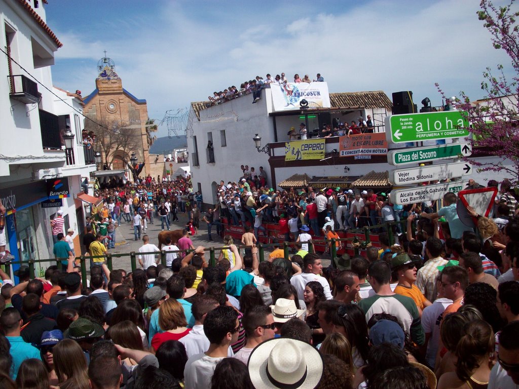 SUELTA DE NOVILLOS.FIESTA DE LA INDEPENDENCIA 2008 by Victor Paredes Guerr…