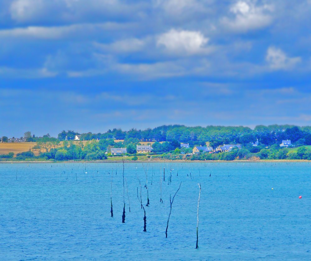 Larmor-Baden - Île Berder by nsd56