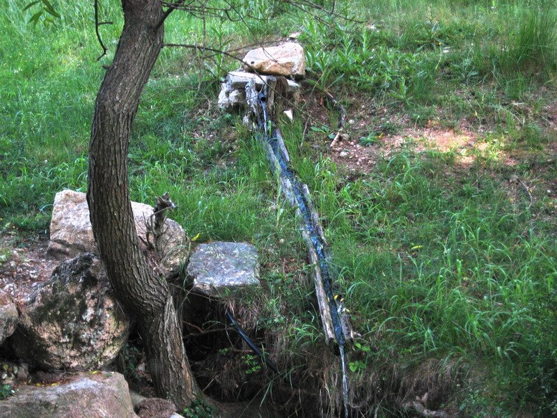 Font del Prat d'En Rubera by Lluis Ibañez