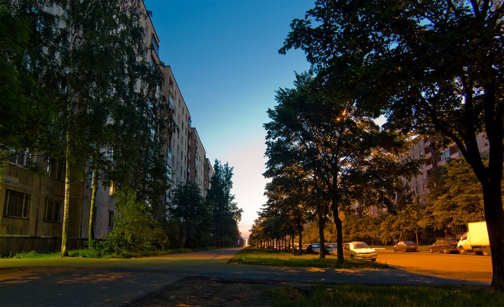 Frunzensky District, St Petersburg, Russia by Владислав Степногорс…