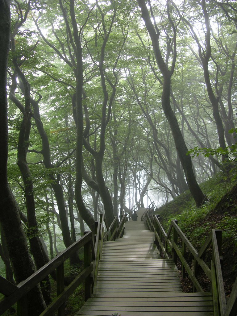 Treppen im Nebel by Dieter Geißendörfer