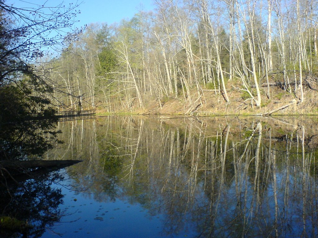 Bays Lake by Dennis Mott