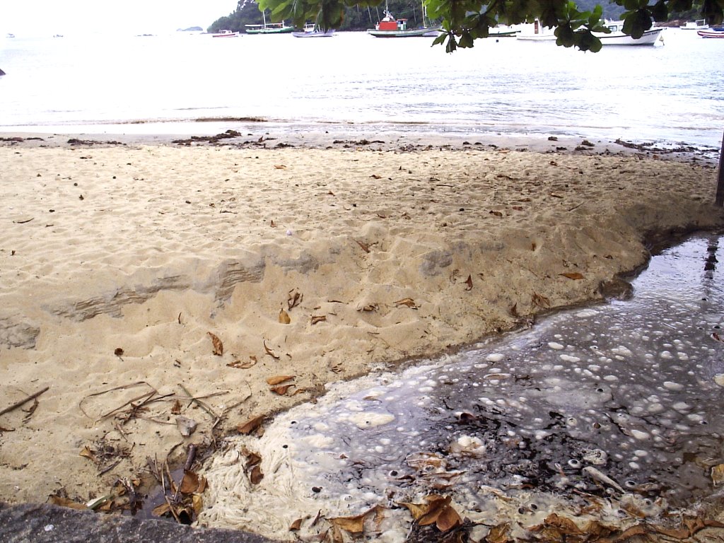 Saneamento - Ilha Grande by andreneribrasil