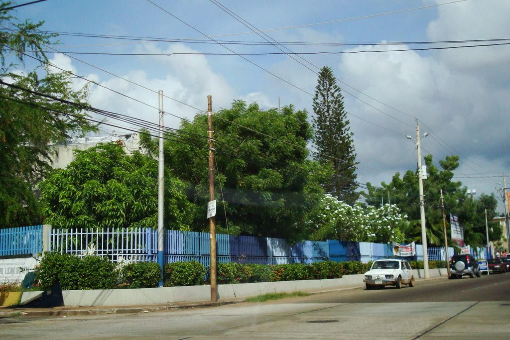 Colegio de Ingenieros del Estado Zulia by rorian