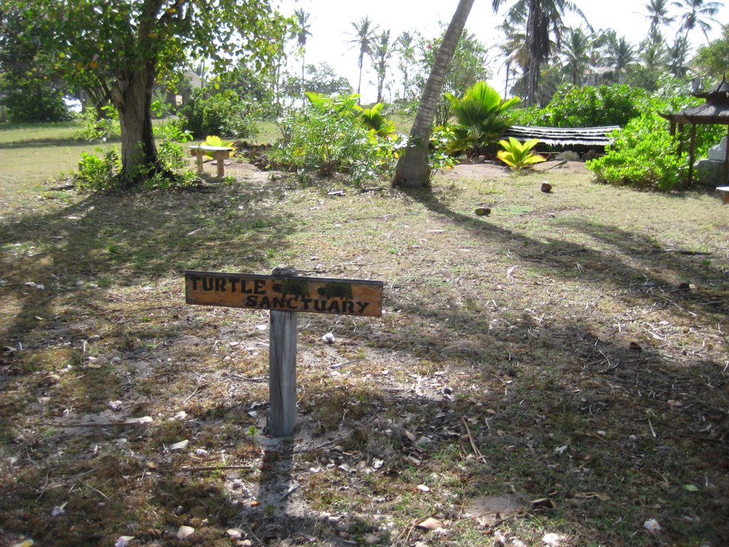 Unnamed Road, St Vincent and the Grenadines by helmet0628