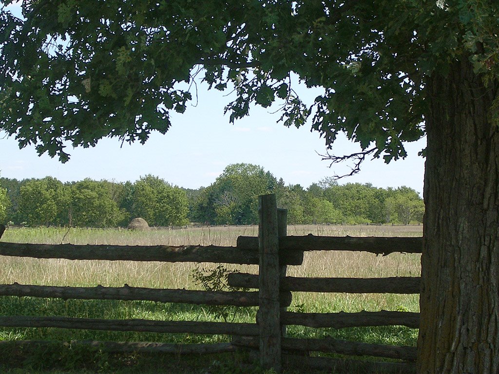 Fence and Field, Oliver H. Kelley Homestead, near Elk River, Minnesota by © Tom Cooper