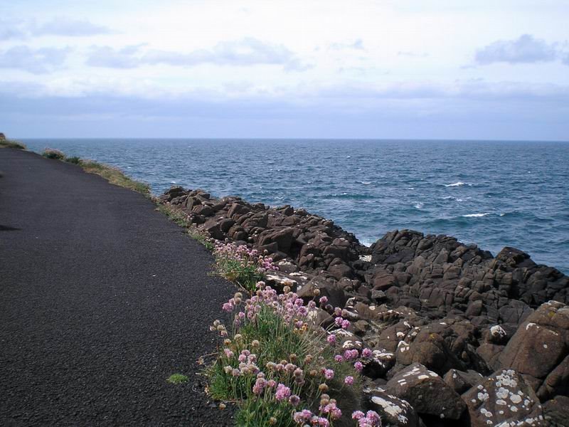 Foot-path, Portrush by Tomek K