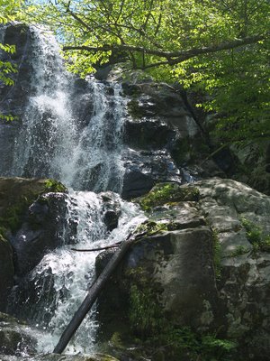 Dark Hollow Falls, Skyline Drive by rbikerider2001