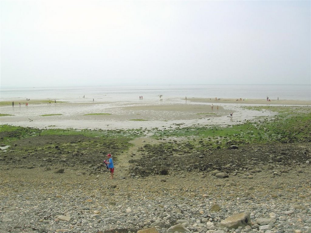 Low Tide Davis Bay by seabow