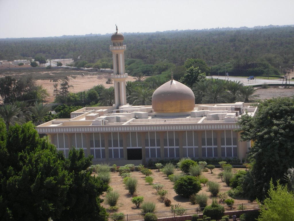 Sohar by Hermann Mattanovich