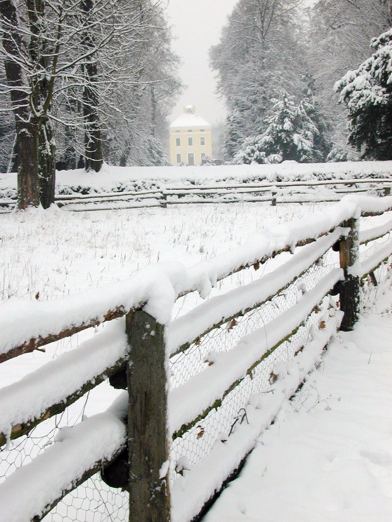 Schloss Luisium, Dessau by octopus24