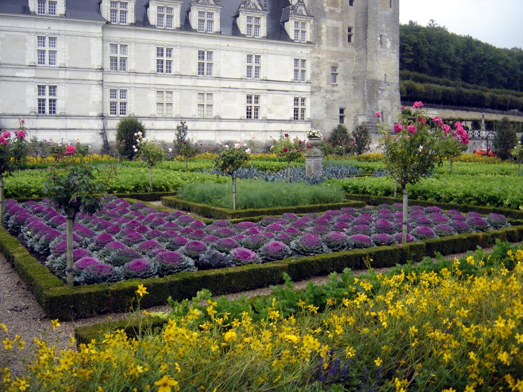 Francia, Villandry, Jardín de verduras by cesarcriado