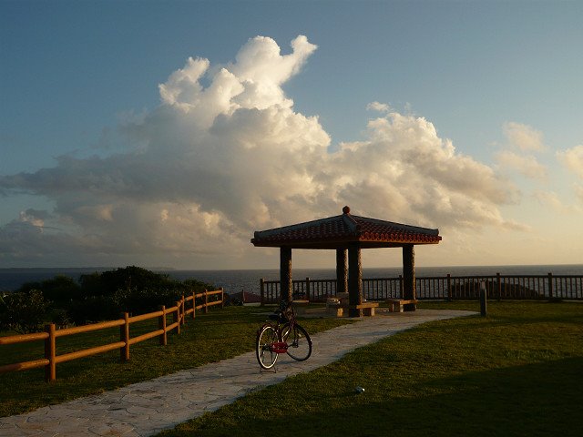 West area park 西地区緑地 by todotodo