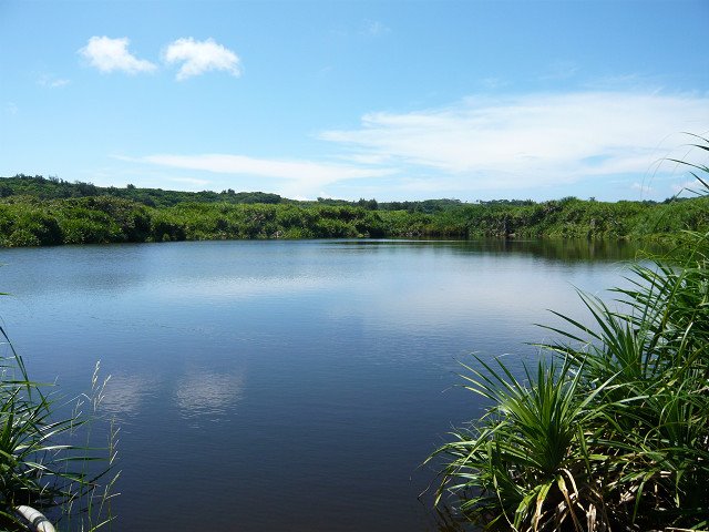 O-ike(pond) 大池 by todotodo