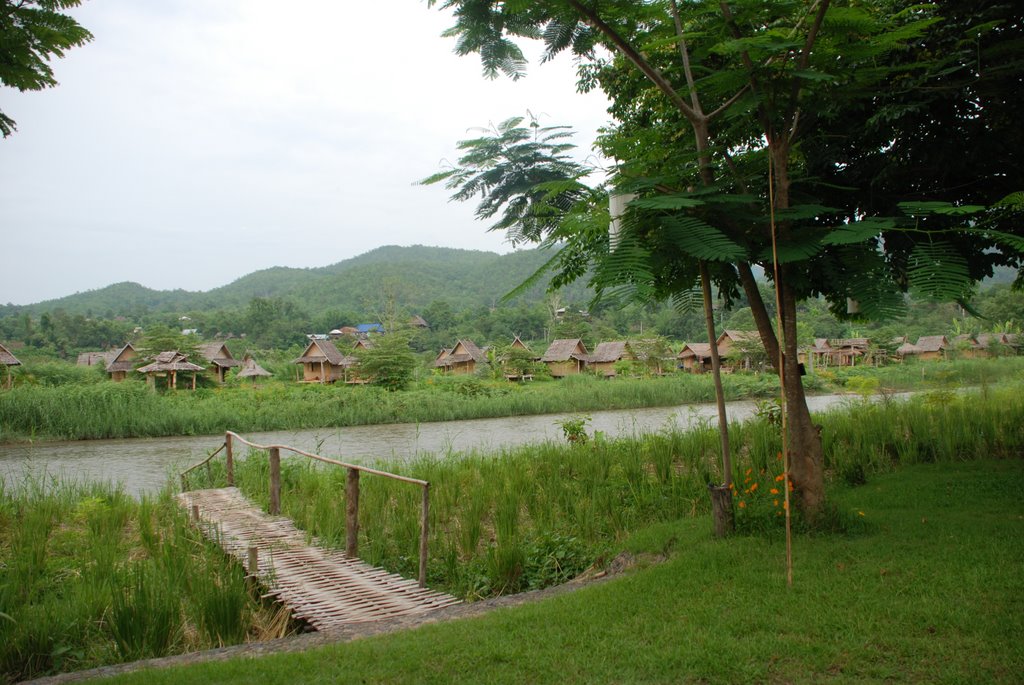 PAI PARADISO FOREST NEAR CHANG MAI THAILAND by nataliapoddubniak