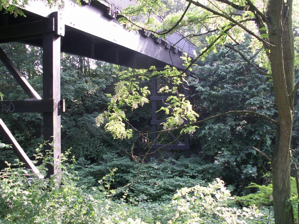 Fußgängerbrücke Ruhrauen Müheim a.d. Ruhr by Rorret