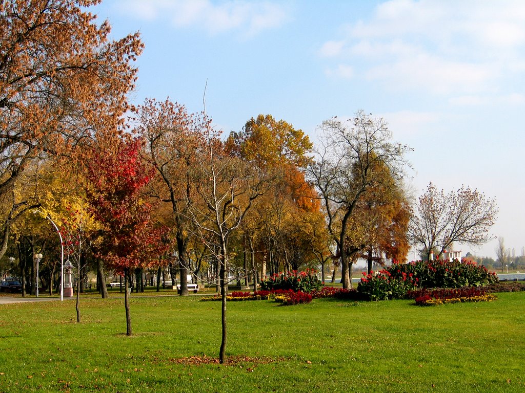 Park in autumn by Bia  Baby