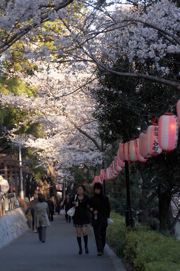 Hanami near the Edogawa bridge & river by chibiberu