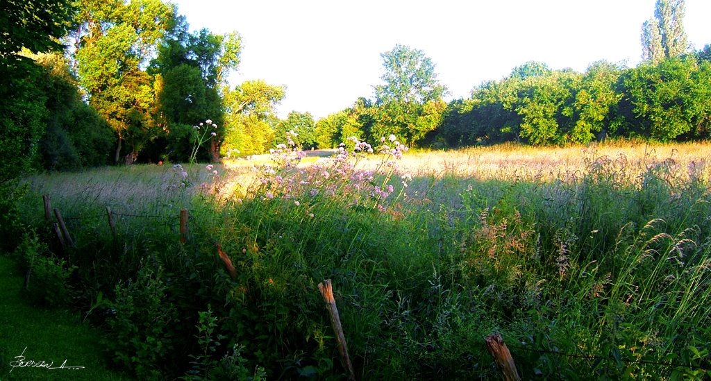 "paysage Sarthois"...COULAINES...SARTHE...FRANCE. by BORDEAU Alain.(NO VI…