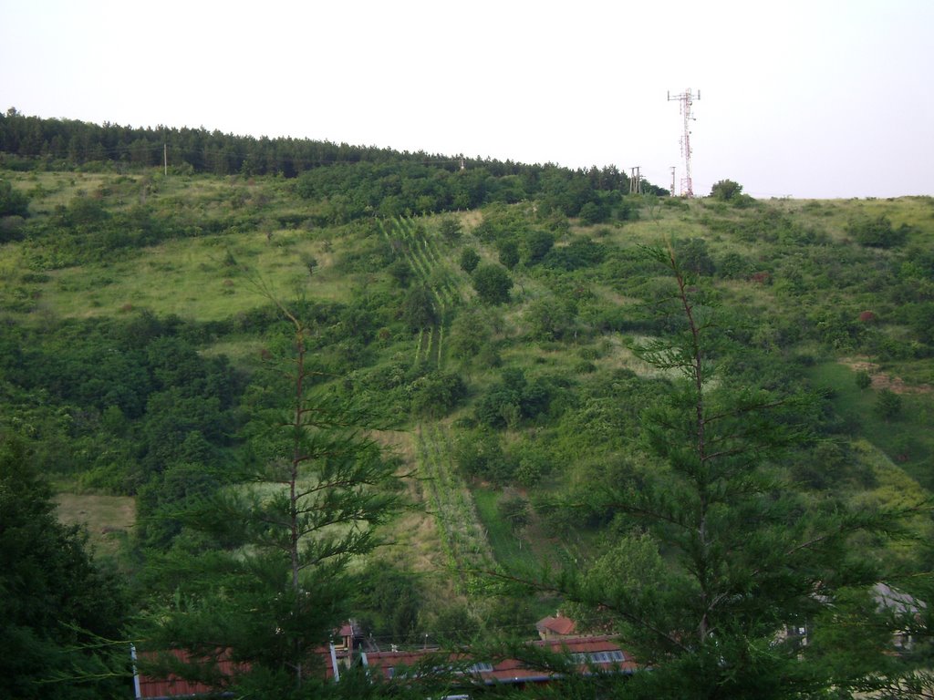 Noszvaj, 25.June,2008 by PanoramioHungary