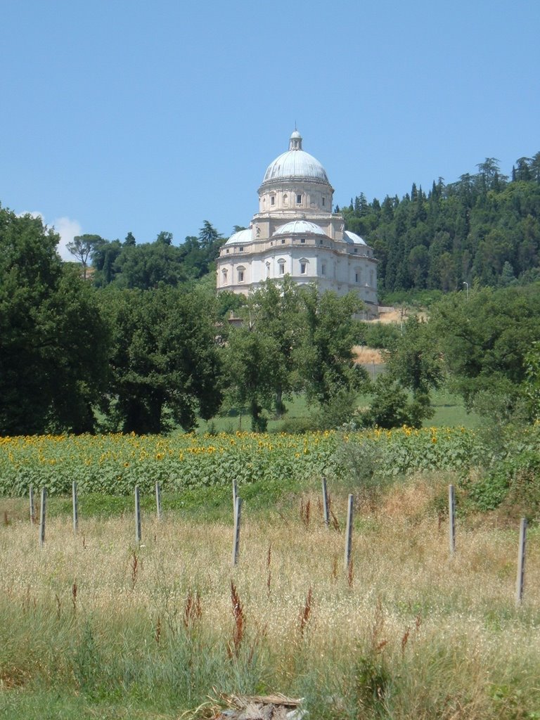 Todi by Jury villav.