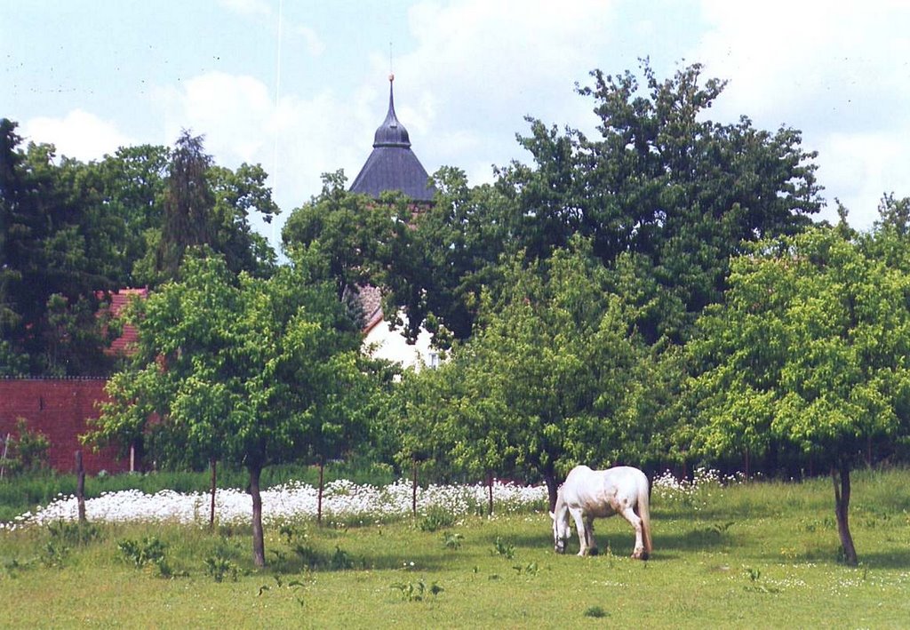 Groß Schönebeck by Bernd Lath Berlin