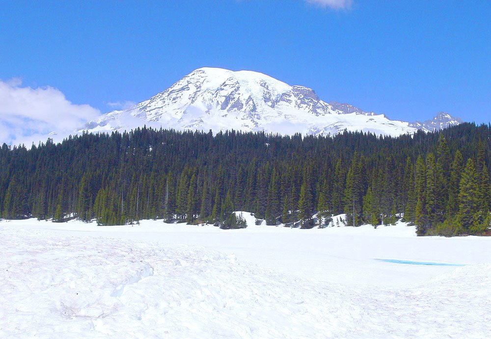 Mt. Rainier by jiangliu