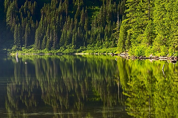 Walupt Lake Reflections by Curtis Knight