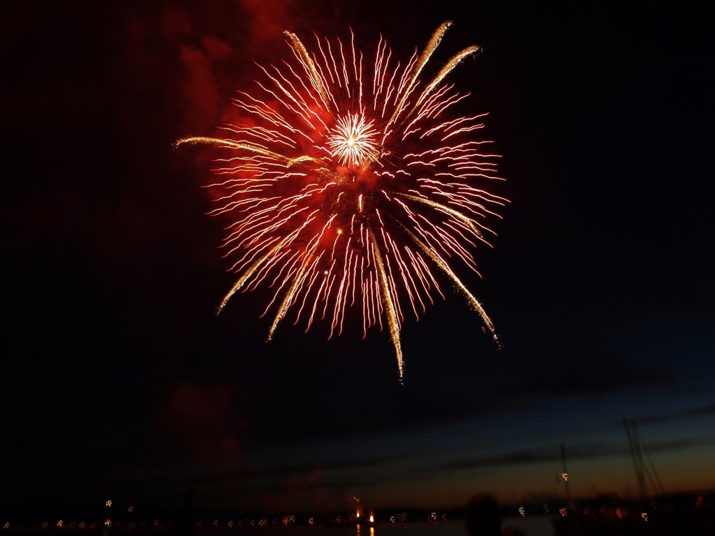 Burlington Fireworks 2008 by swift447