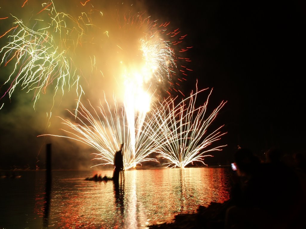 Grand Finale - Burlington Fireworks 2008 by swift447